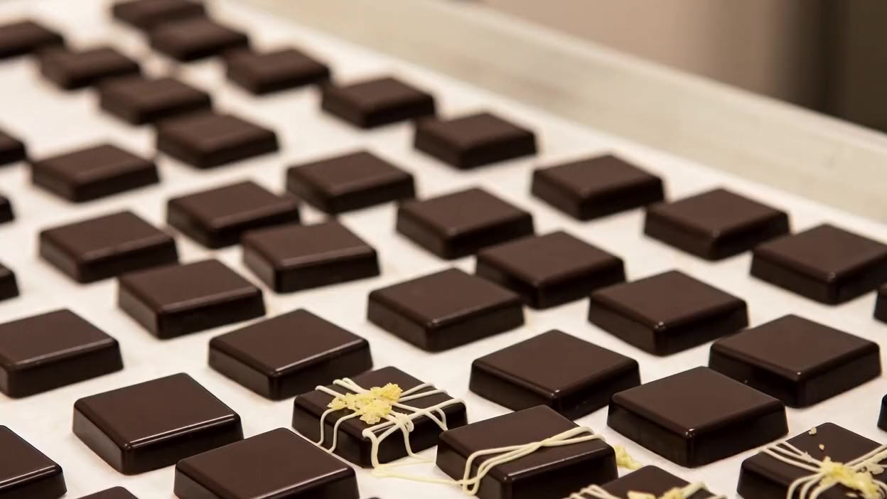 A gloved hand pipes fine white chocolate lines across rows of glossy dark chocolate squares, one already finished with a lattice and a pinch of salt